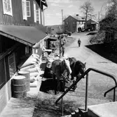 Häst och vagn står utanför Valskvarnen i Dunkehalla, Jönköping.