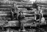 Tre män sitter på stockar vid Tändsticksbolagets vedupplag i Jönköping. Det låg vid Åsenvägen, senare Fläktfabrikens område. Vid jordskalvet år 1907 rullade en del stockar ner i Friaredalen.
