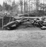 Fornl. 59:6. Profilen, fr. O.  Hjärtum