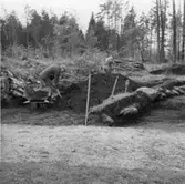 Fornl. 59:6. Fr. O.  Hjärtum