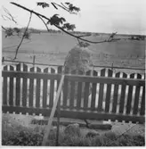 Baksidan av minnesstenen över Karl XIV Johan. Från den gamla platsen?    Holm