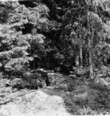 Branare-Karis kistor.    Holm