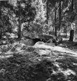 Branare-Karis kistor.    Holm