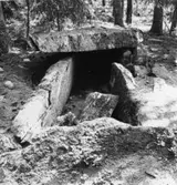 Branare-Karis kistor.    Holm