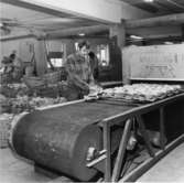 Män arbetar vid olika maskiner för skotillverkning. En stor del av produktionen består av träskor med namnet Dalbo. Holm.Se hembygden 1972, s. 156