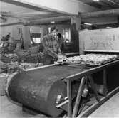 Män arbetar vid olika maskiner för skotillverkning. En stor del av produktionen består av träskor med namnet Dalbo. Holm.Se hembygden 1972, s. 156