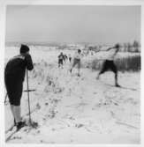 Högsäter, Karolinerloppet