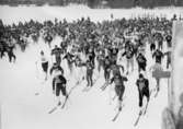 Högsäter, Karolinerloppet.