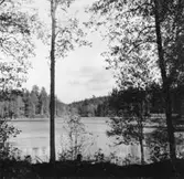 Högsäter, sjön Kvarndålet.