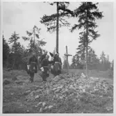 Järbo. Krönikespel.