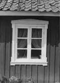 Fönster.  Koberg  Lagmansered