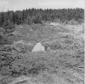 Översikt över fornlämningsområdet, fr. NO.Lena.  I förgrunden Vallen anl. 19 med resta stenen nr. 20, samt stensättningen anl. 15, fr. SO.