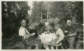 Hilda Johanssons föräldrar dricker kaffe i trädgård med hennes bror Rickard, deras faster och en bekant.  Lerdal