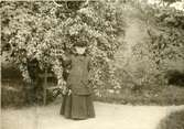 Josephine Berggren i sin trädgård på Kronogatan 7 i Vänersborg. Foto. N.S.L. troligen 1895.