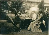 Från Emil Berggrens trädgård på Kronogatan 7 i Vänersborg [1890-talet]. Josephine Berggren, Lilly Berggren, Ellen Peterson samt okänd herre.