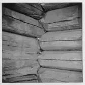 Detalj av gammal timrad log-knut (före rivning). Nössemark