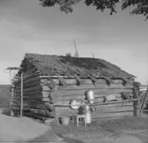 Vedboden på gården Munken Nössemark, fr. NV. Mjölkkärl och hinkar längs ena väggen.