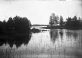 Sjöstrand med hus