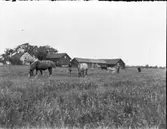 Lilla Torpa  Vänersborg