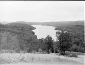 Naturmiljö  Bengtsfors