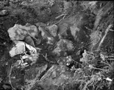 Frilagd stensättning