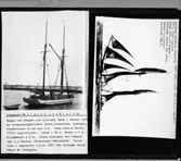 Galeasen Natalia Charlotta.Byggd vid Koggen vid Hjortens udde i Vänern 1878 av skeppsbyggmästaren Jakob Andersson, Spången,Köpmannebro av ek och fur. Hade aldrig motor.77/67 registerton.Längd = 20 m. Bredd = 7 m. Djupgående = 3 m. Sista skeppare och redare var L. J. Jonsson, Otterstad, Kållandsö. Fanns kvar i registret till och med 1925 men slutade segla några år tidigare.