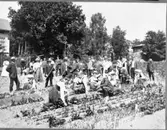 Nääs slöjdlärarseminarium, 