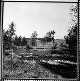 Grävningsområde II från söder.  Brätte  Vassända-Naglum