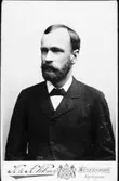 Albert Eriksson