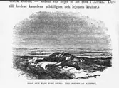 Illustration från boken Sjön Ngami (Författaren och hans häst).