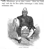 Illustrationer från boken Sjön Ngami. (Jonker Afrikaner)