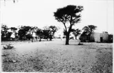 Namibia. Honse in Omarun.
