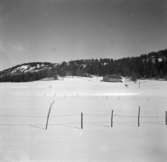 Järbo, Dalsland. Gården Winsäter. Ägare: Aron Olofson. Mars 1937.