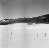 Järbo, Dalsland. Gården Winsäter. Ägare: Aron Olofson. Mars 1937.