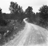 Dalsland. Landsväg utmed sjön Ånimmens östra strand. 31/5-2/6 1943.