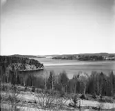 Dalsland. Utsikt över Laxsjön mot Baldersnäs från landsvägen Billingsfors - Dals Långed. 12 April 1945.