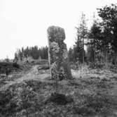 Ödeborg. Bautasten (4 m. hög) på Håvestens ättehögskulle, 16 Maj 1945.