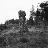 Ödeborg. Bautasten (4 m. hög) på Håvestens ättehögskulle, 16 Maj 1945.