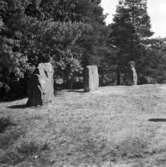 Halleberg. Hästevads stenar (Domare-ring), 29 Maj 1946.