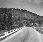 Halleberg. Häckle ättestupa, 29 Maj 1946.
