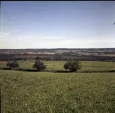 Utsikt över Åsle mosse från backsluttningen strax söder om kalkbrottet mot öster. 13 Sept 1967.