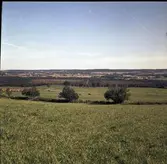 Utsikt över Åsle mosse från backsluttningen strax söder om kalkbrottet mot öster. 13 Sept 1967.
