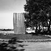 Minnesstenen över slaget vid Falköping 24 Febr. 1389 i Åsle.