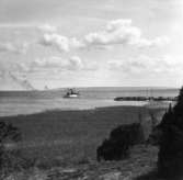 Halle och Hunneberg från Sikhall (Dalsland), Annandag Pingst 1943.