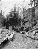 Tio okända herrar i skogen.