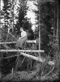 En kvinna sitter på en fälld gran.