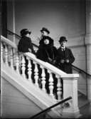 Fyra personer i en trappa.