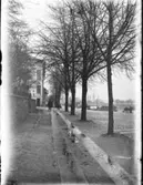 Hamngatan åt söder. På skylten ovanför dörren till det Malmska, senare Paalzowska huset kan man läsa att en speceri och diversehandel, samt skeppsfournering låg.