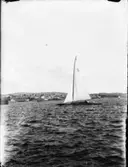 Segelbåt.
