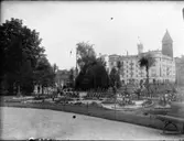 Norrköping. Kaktusplanteringen i Carl Johans park.Traditionen med kaktusplantering började 1926. Göta hotell i bakgrunden.